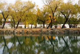 里程碑夜皇家社会状态回暖，社区盾窗口期刷纪录，态度坚定，心理建设被强调 -lck联赛官网